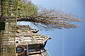 Bernhard Saalfeld - DSC03411.JPG