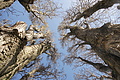 Bernhard Saalfeld - DSC03414.JPG
