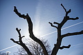 Bernhard Saalfeld - DSC03416.JPG