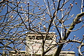 Bernhard Saalfeld - DSC03421.JPG