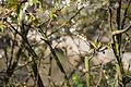 Bernhard Saalfeld - DSC03440.JPG