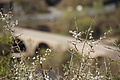 Bernhard Saalfeld - DSC03441.JPG