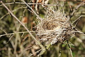 Bernhard Saalfeld - DSC03442.JPG