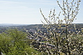 Bernhard Saalfeld - DSC03444.JPG