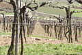 Bernhard Saalfeld - DSC03451.JPG