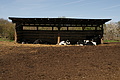 Bernhard Saalfeld - DSC03455.JPG