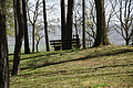 Bernhard Saalfeld - DSC03489.JPG