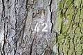 Bernhard Saalfeld - DSC03502.JPG
