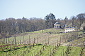 Bernhard Saalfeld - DSC03514.JPG