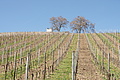 Bernhard Saalfeld - DSC03520.JPG