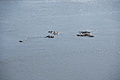 Bernhard Saalfeld - DSC03529.JPG