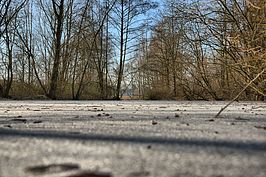 Bernhard Saalfeld - DSC01897_8_9_Localtone.jpg