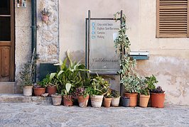 Bernhard Saalfeld - DSC02863.JPG